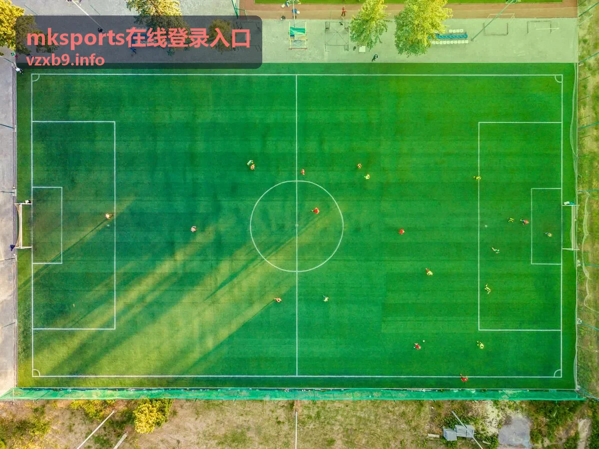 mksports在线登录入口的登录页面示意